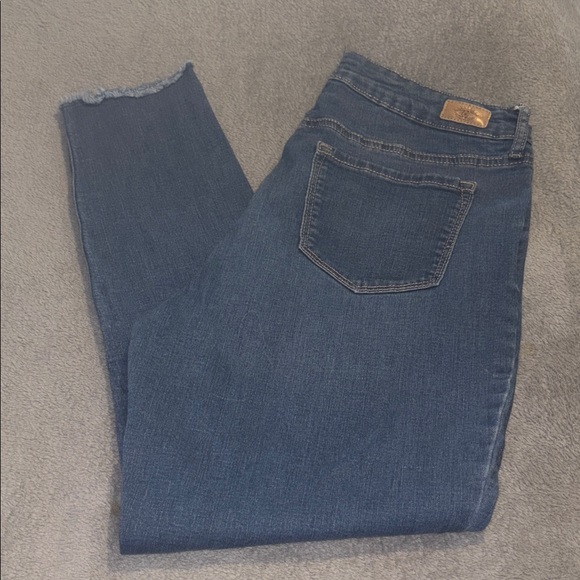 Sofia Vergara Blue Denim Jeans Rosa Curvy Ankle size 10 - Picture 1 of 3